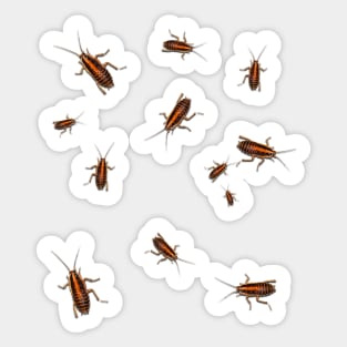 Fake cockroaches Funny joke shirt Sticker